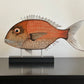 Snapper Art from $135