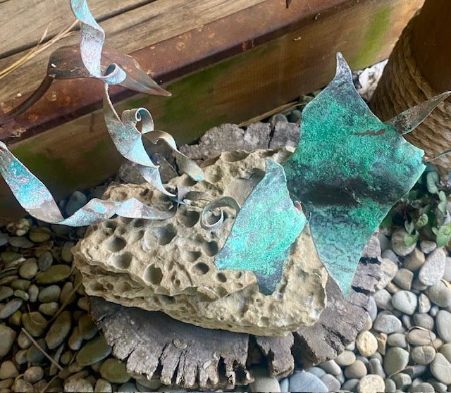 2 Stingrays on Rock