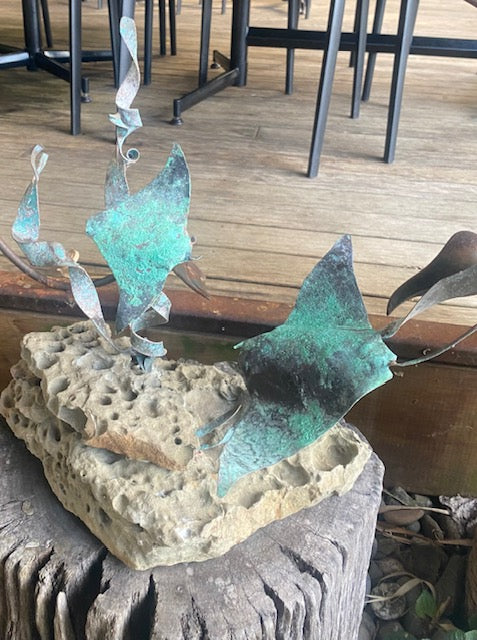 2 Stingrays on Rock