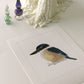 Kotare, Kingfisher - Print