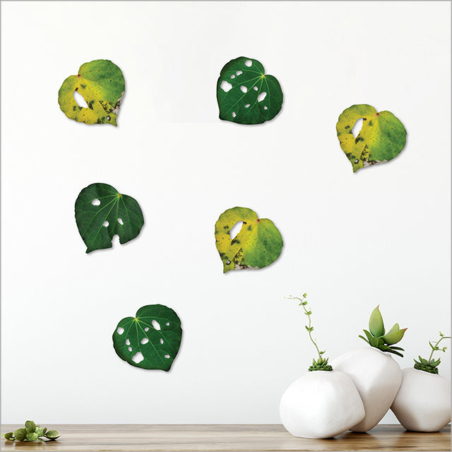Kawakawa Leaves ACM Print set of 6