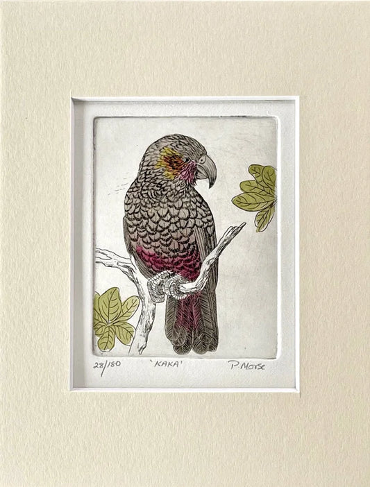 Kaka - Paper Print