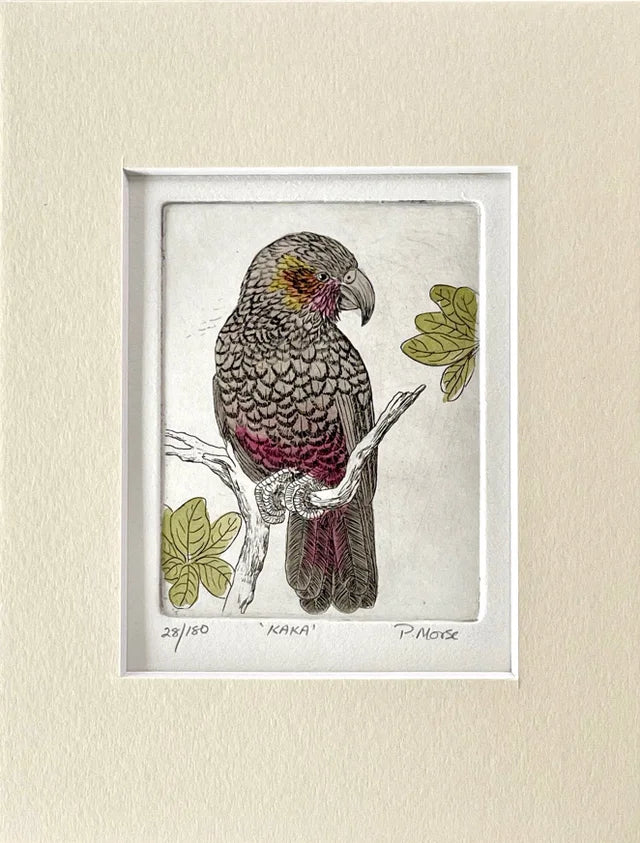 Limited Edition Etching Prints - Birds