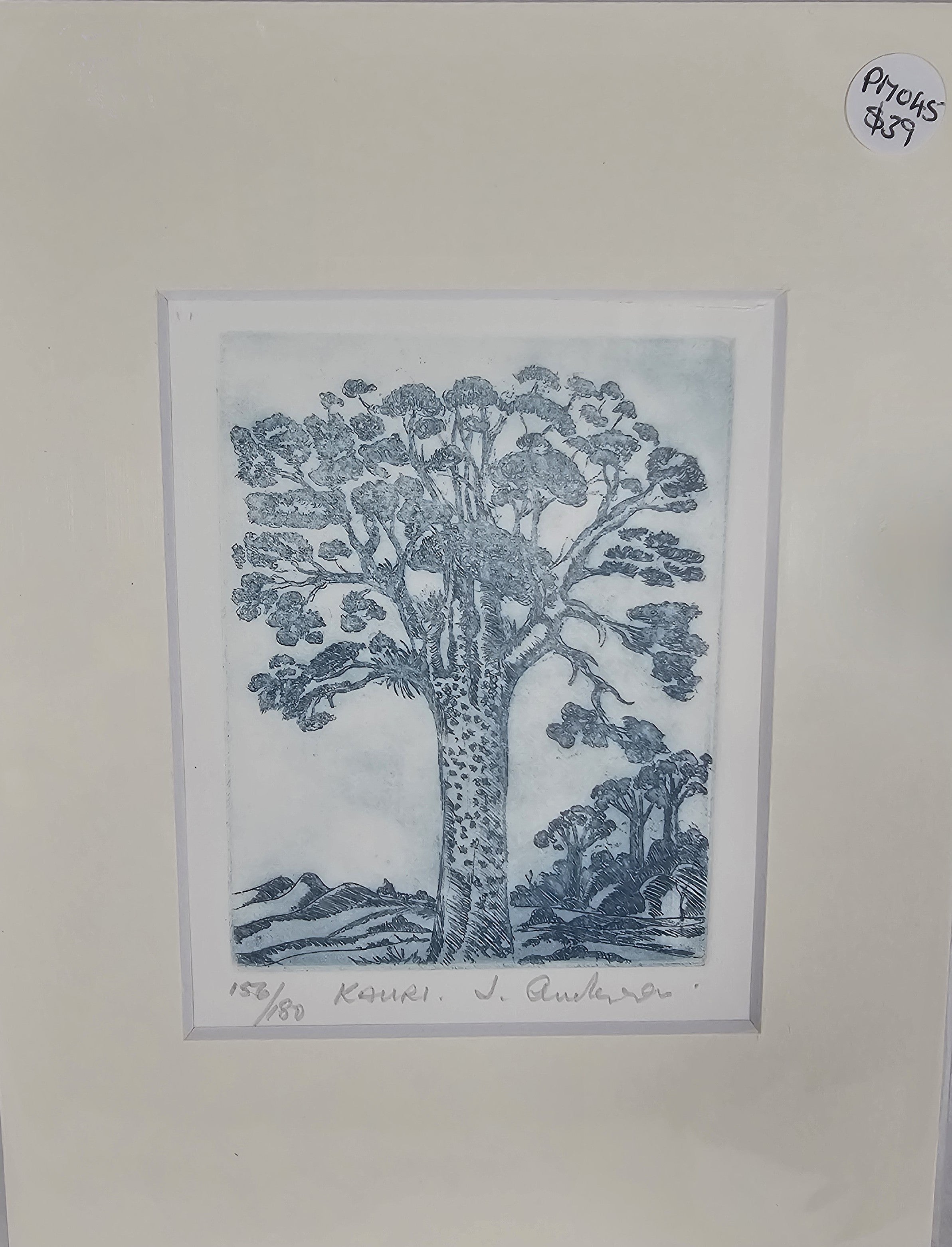 Limited Edition Etching Prints - Flora