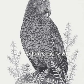 Kea