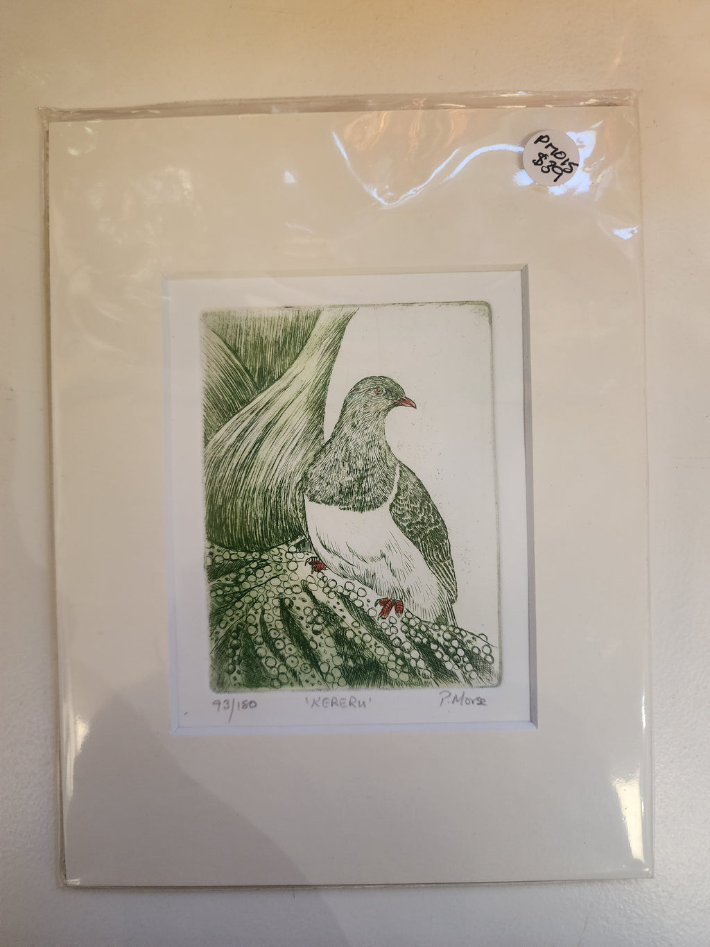 Limited Edition Etching Prints - Birds