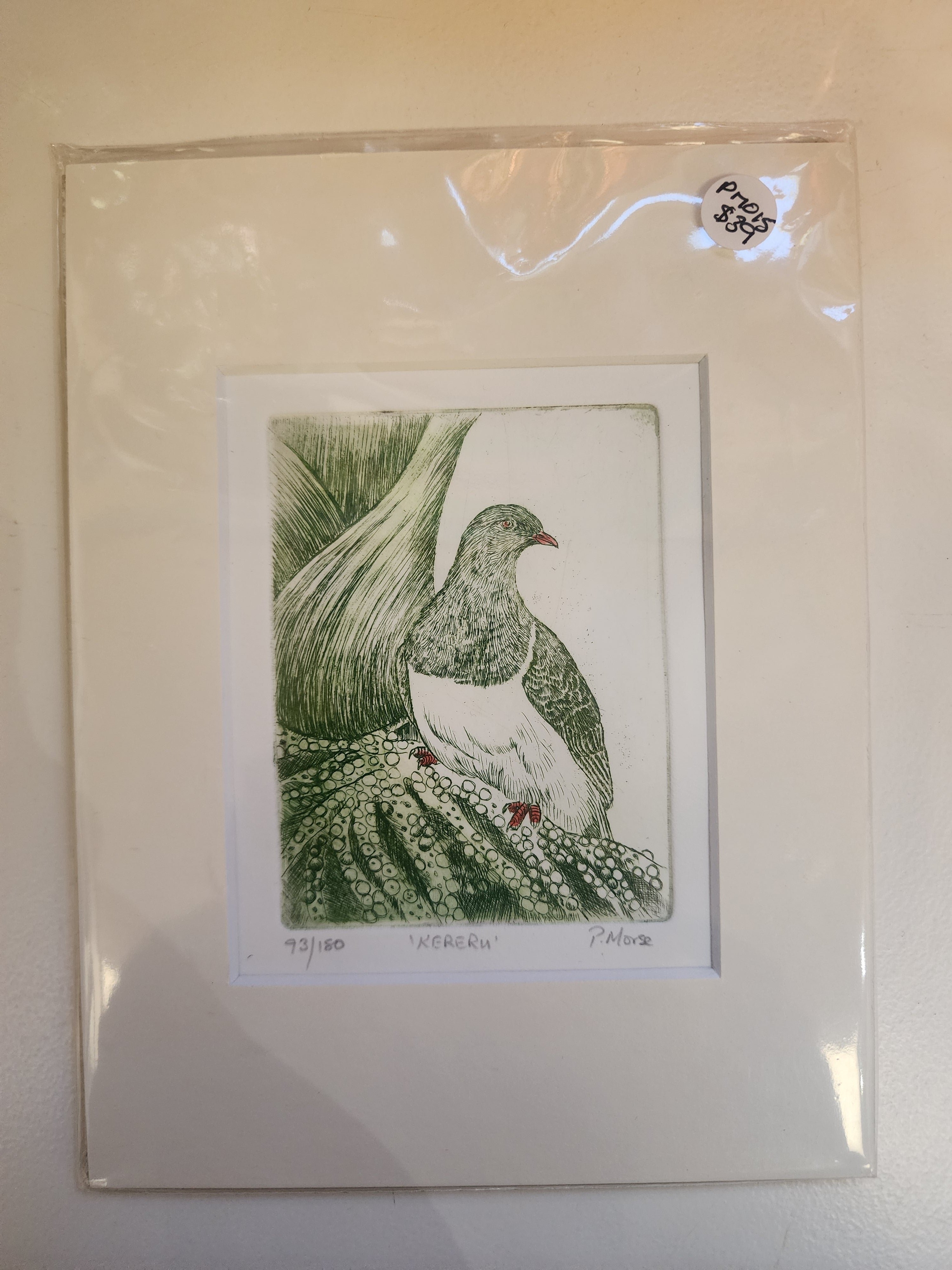 Limited Edition Etching Prints - Birds