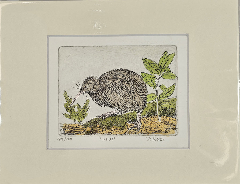 Limited Edition Etching Prints - Birds