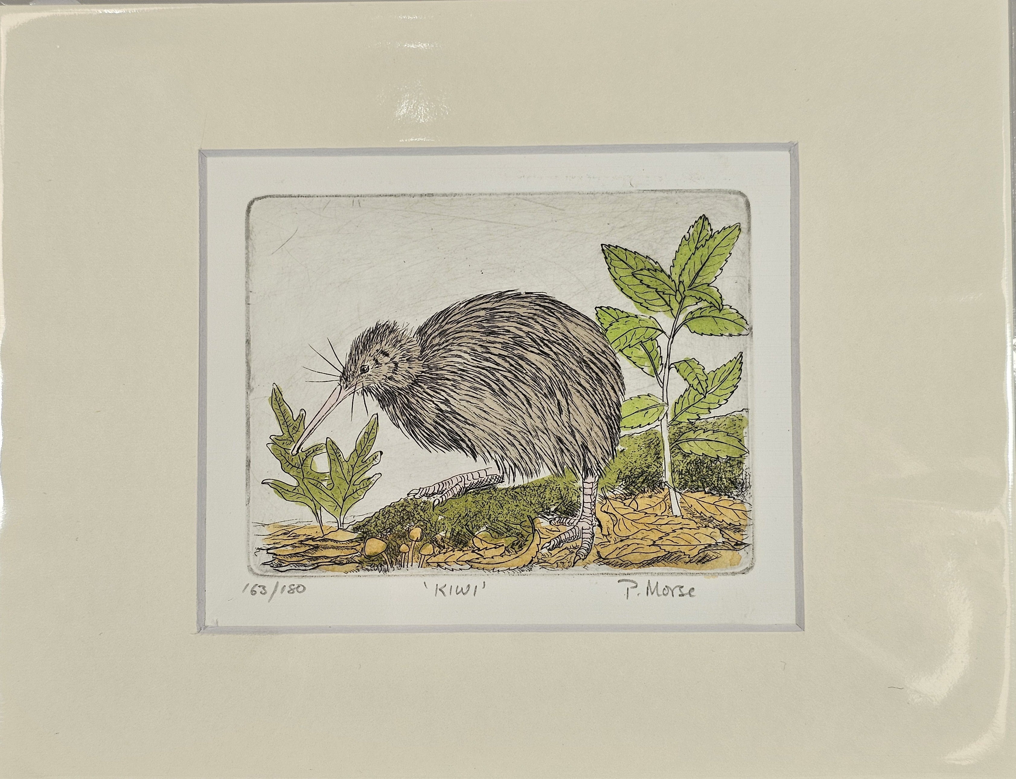 Limited Edition Etching Prints - Birds