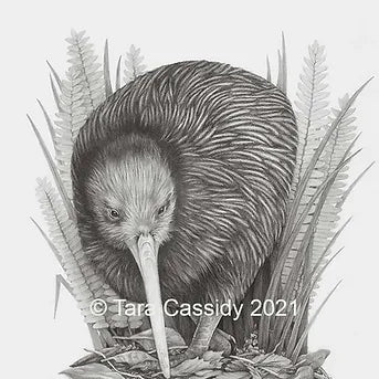 Kiwi