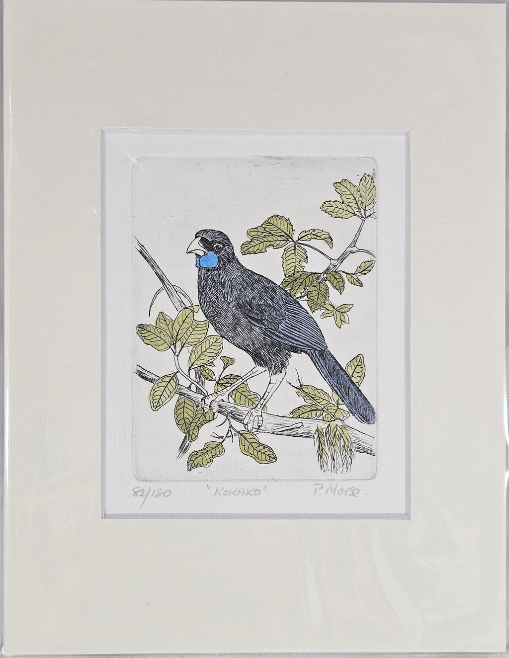 Limited Edition Etching Prints - Birds