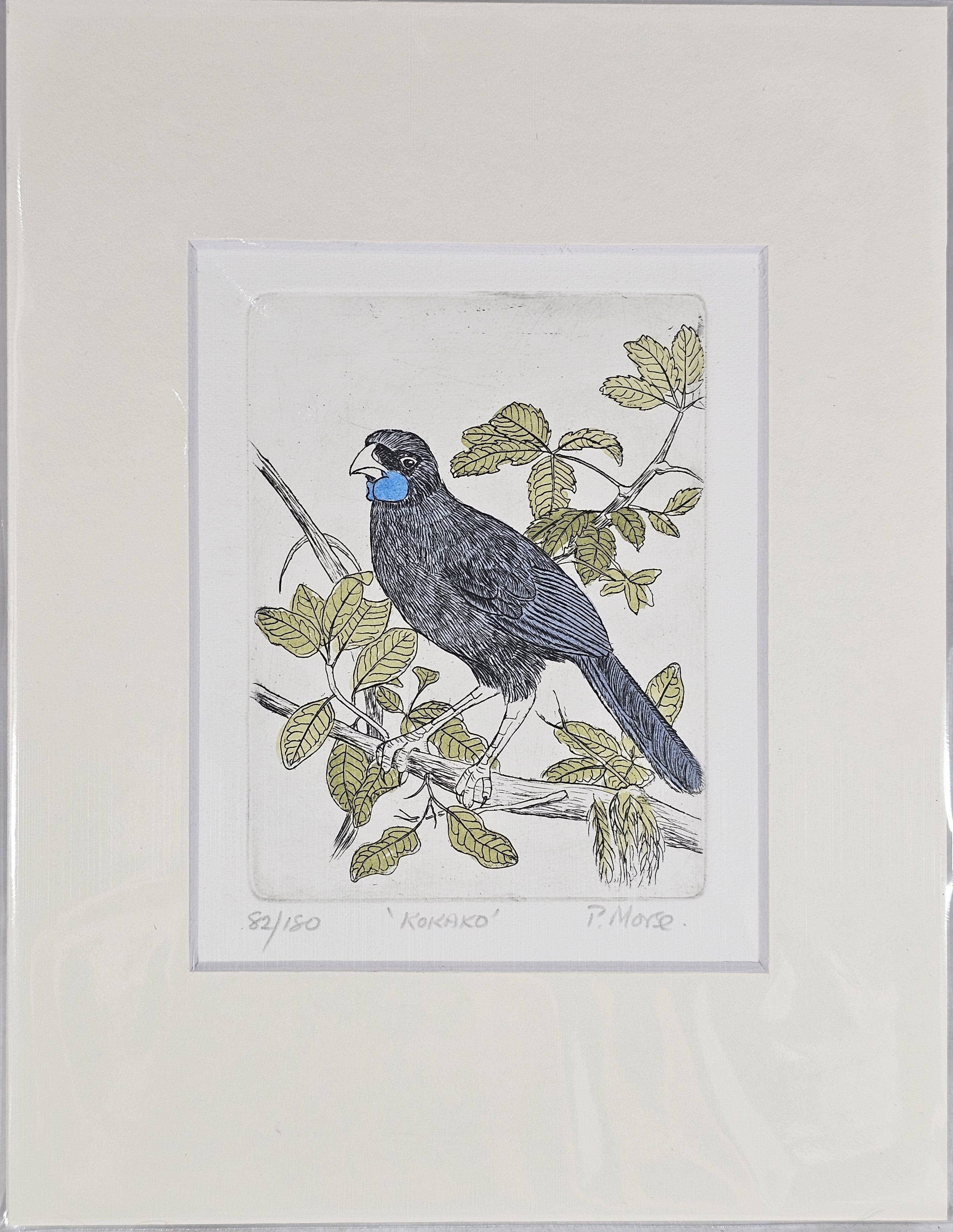 Limited Edition Etching Prints - Birds