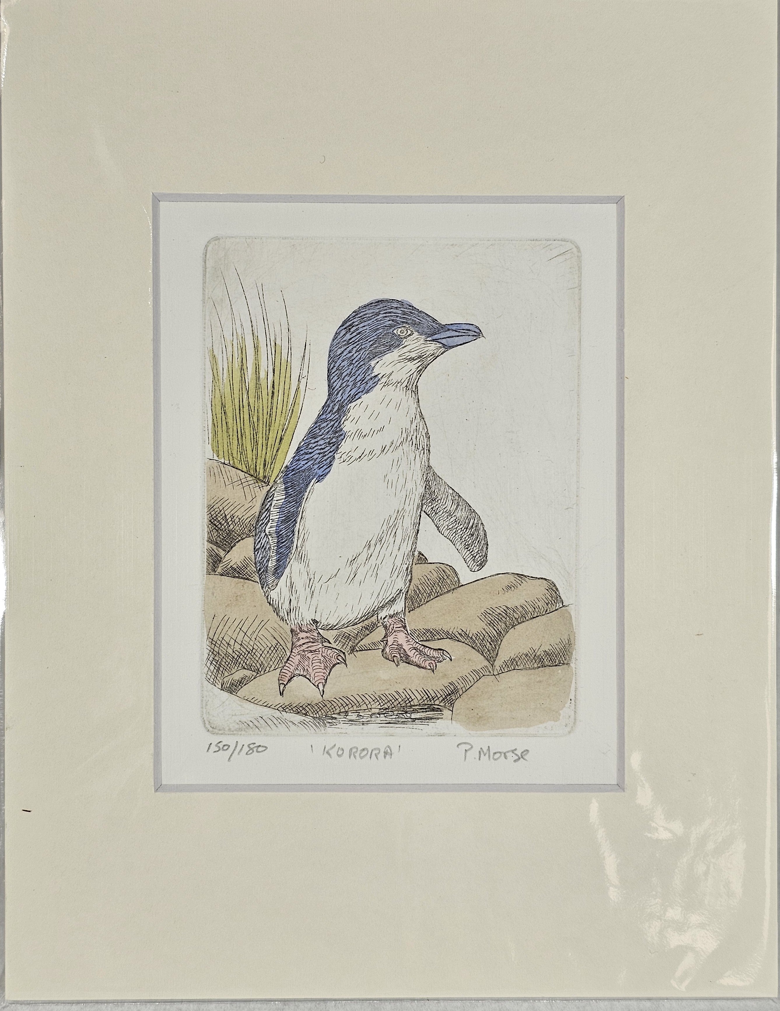 Limited Edition Etching Prints - Birds