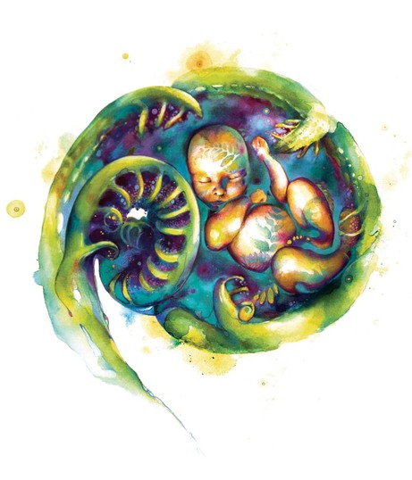 Darina Denali Limited Edition A3 prints