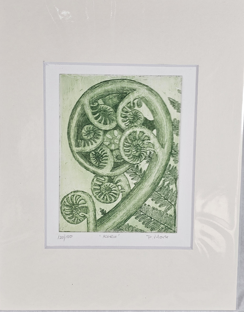 Limited Edition Etching Prints - Flora