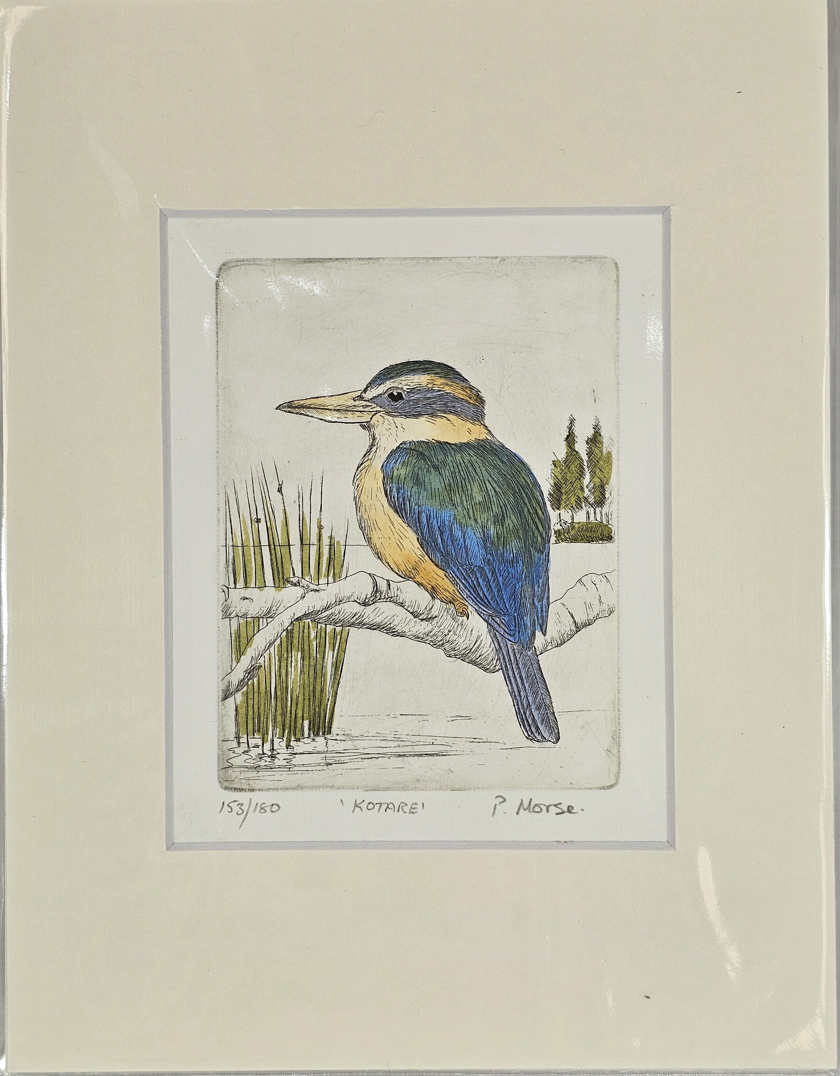 Limited Edition Etching Prints - Birds