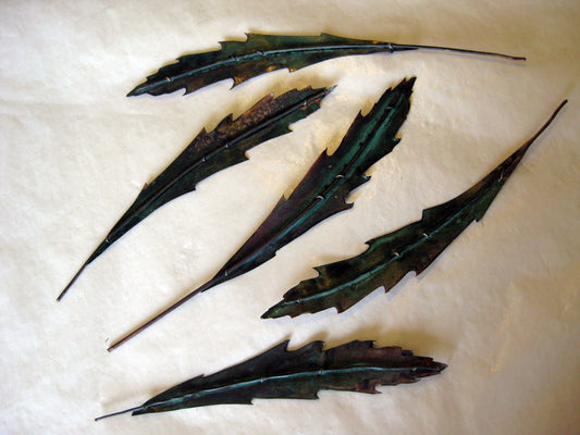 Lancewood Leaf