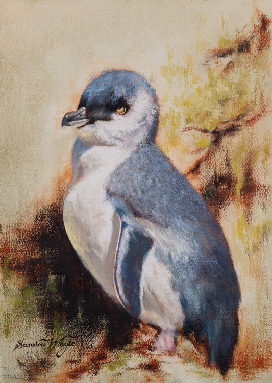 Little Blue Penguin