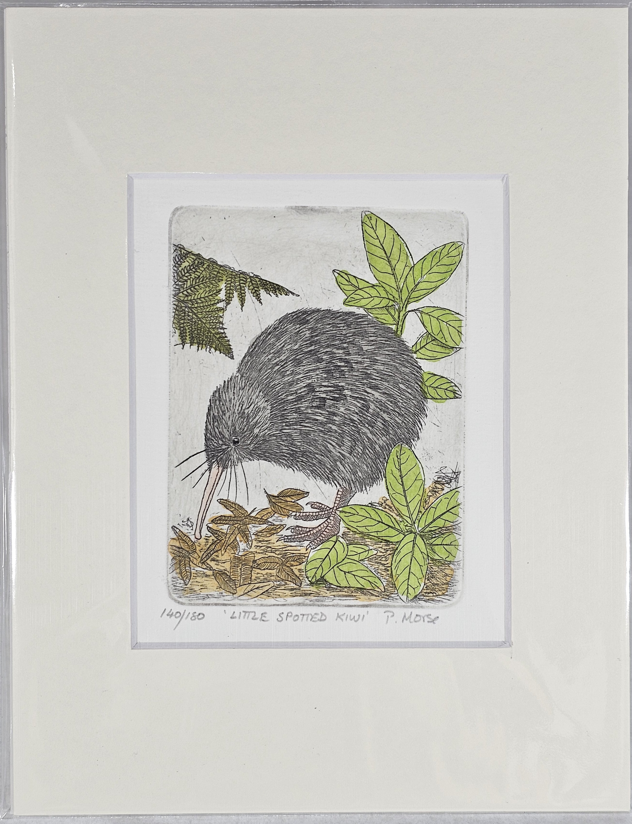 Limited Edition Etching Prints - Birds