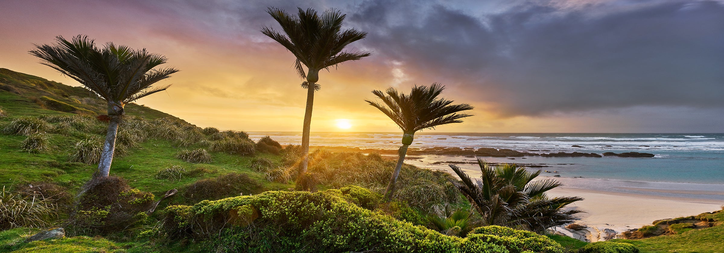Lost World - Limited Edition Unframed Paper Print