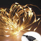 10m USB Warm White Seed Light