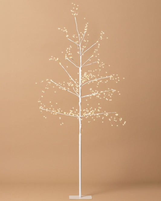 Arctic Birch