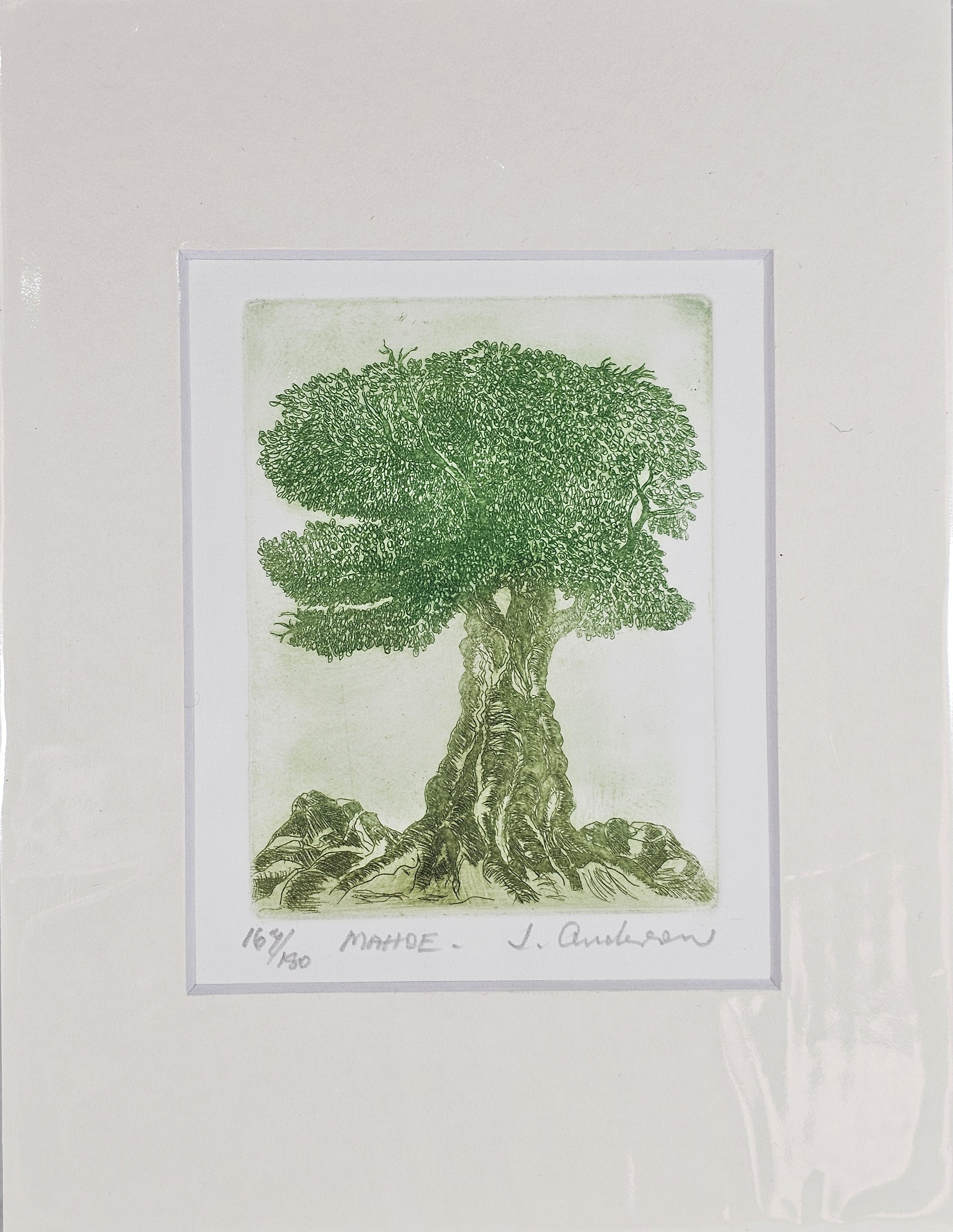 Limited Edition Etching Prints - Flora