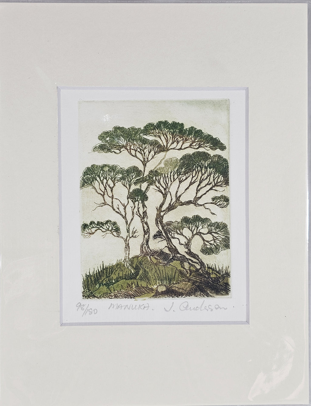 Limited Edition Etching Prints - Flora