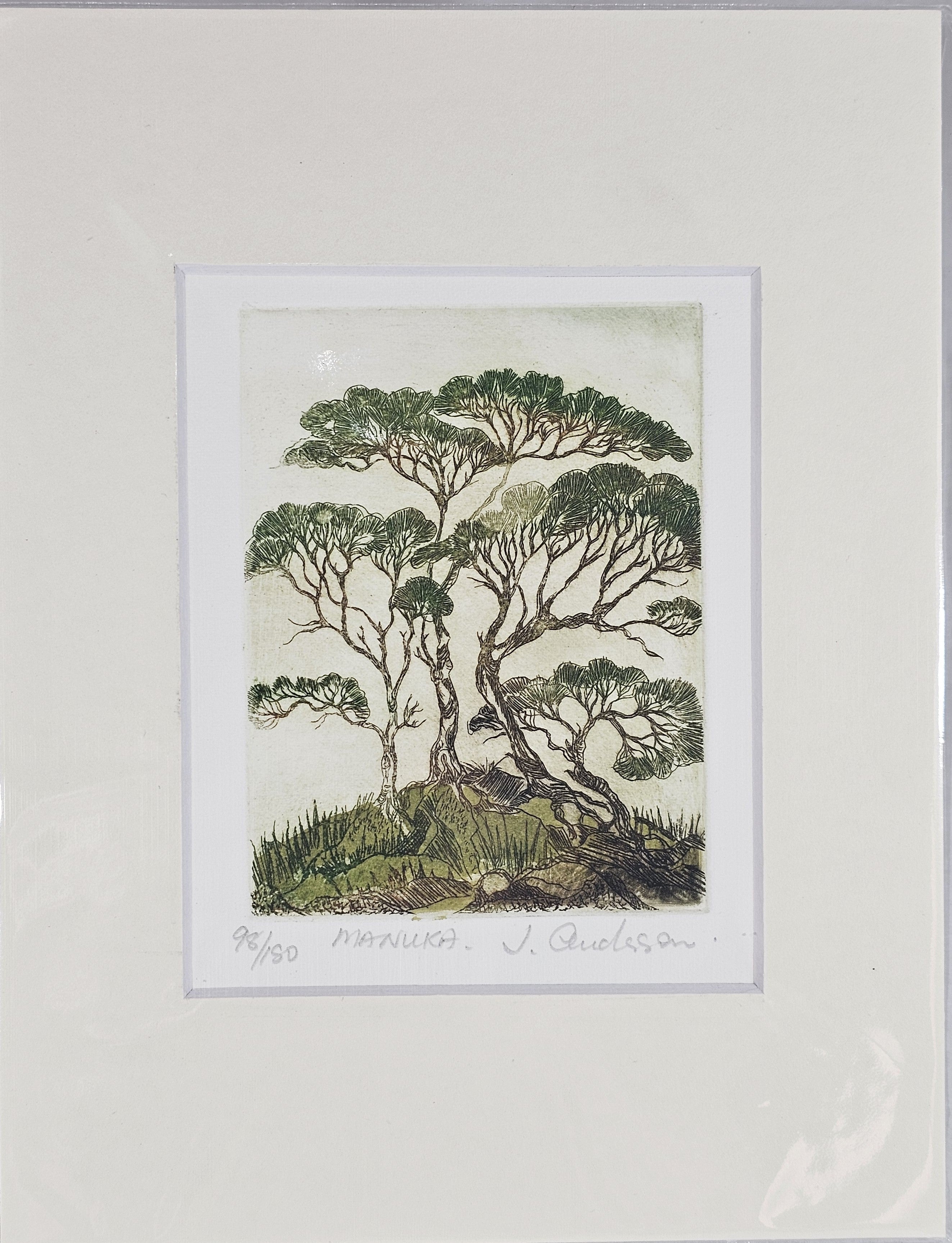 Limited Edition Etching Prints - Flora