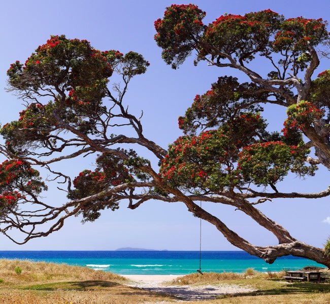 Memories of Summer - Framed Paper Print