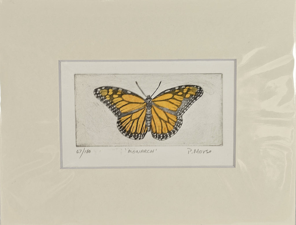 Limited Edition Etching Prints - Bugs and Fish