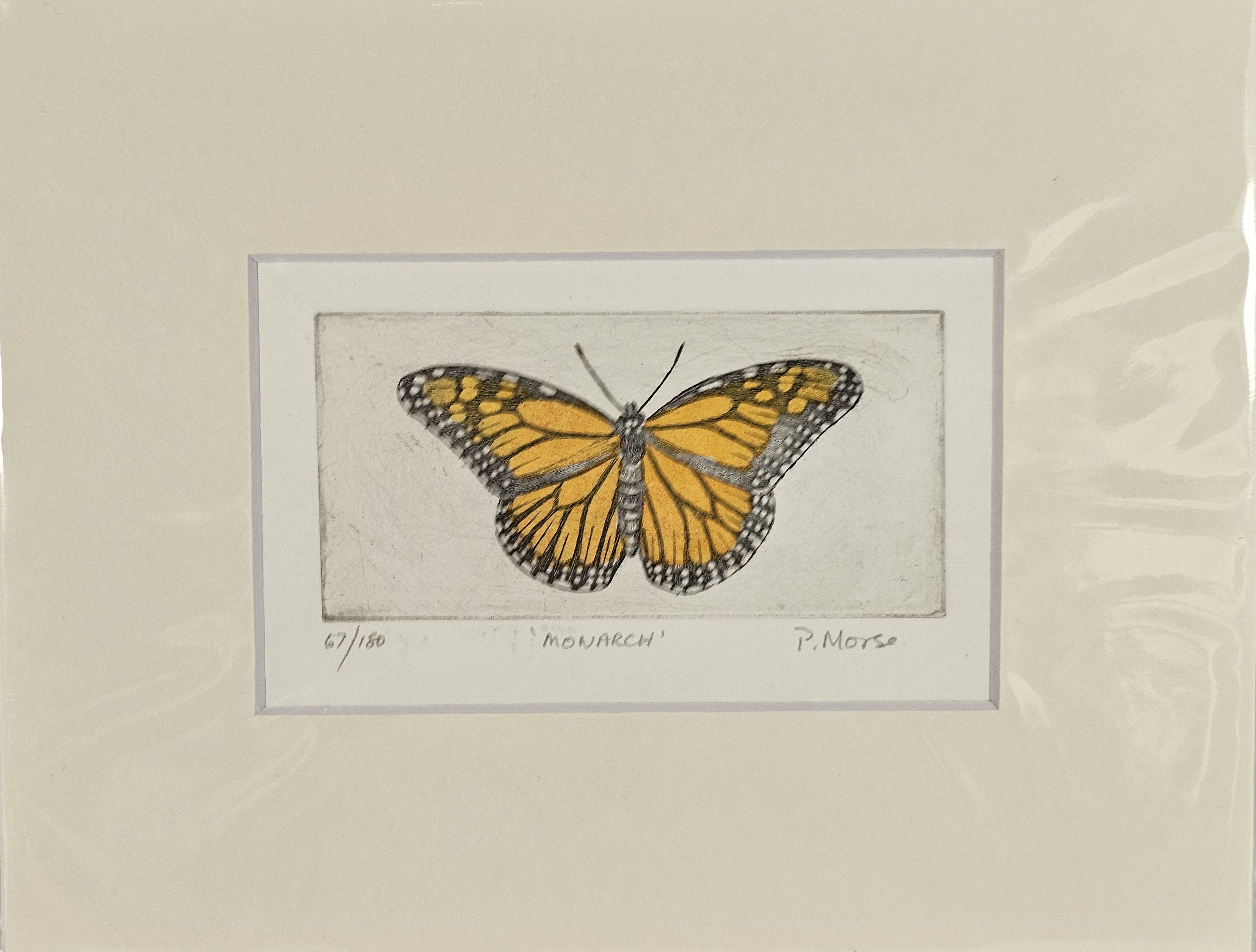 BUTTERFLY - Limited Edition Etching Prints