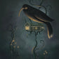 Huia - Limited Edition Paper Print