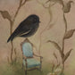 Karure (NZ Black Robin) - Limited Edition Paper Print