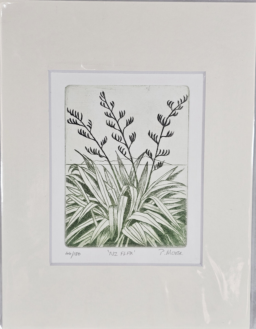 Limited Edition Etching Prints - Flora