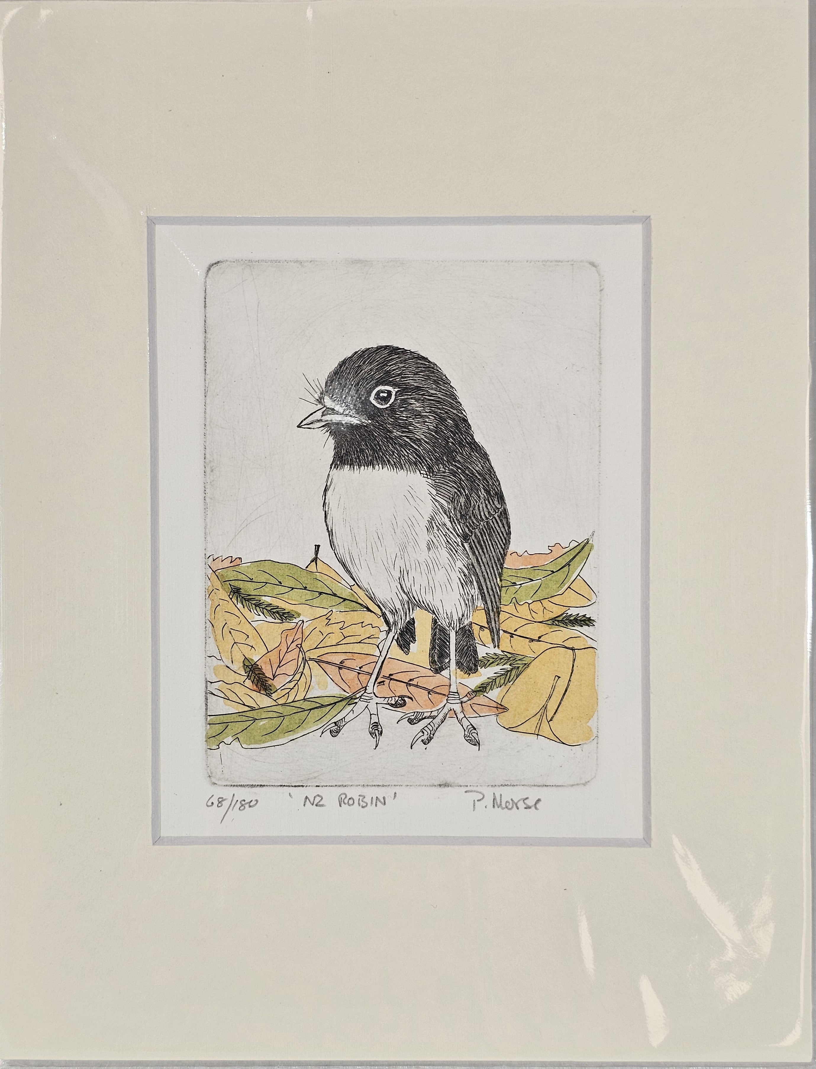 Limited Edition Etching Prints - Birds