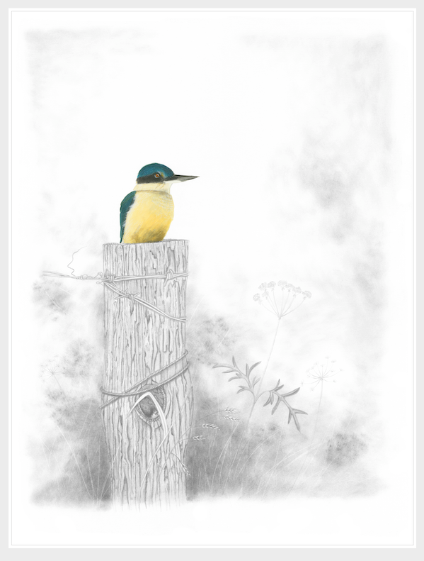 Observer - Limited Edition Paper Print