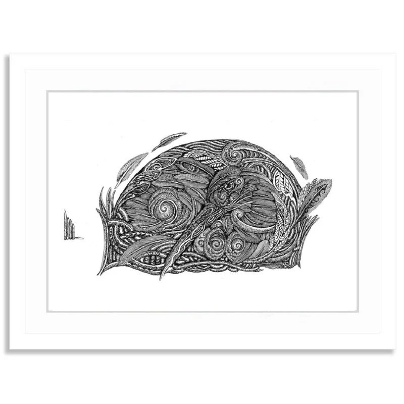 Papatua (Kiwi)