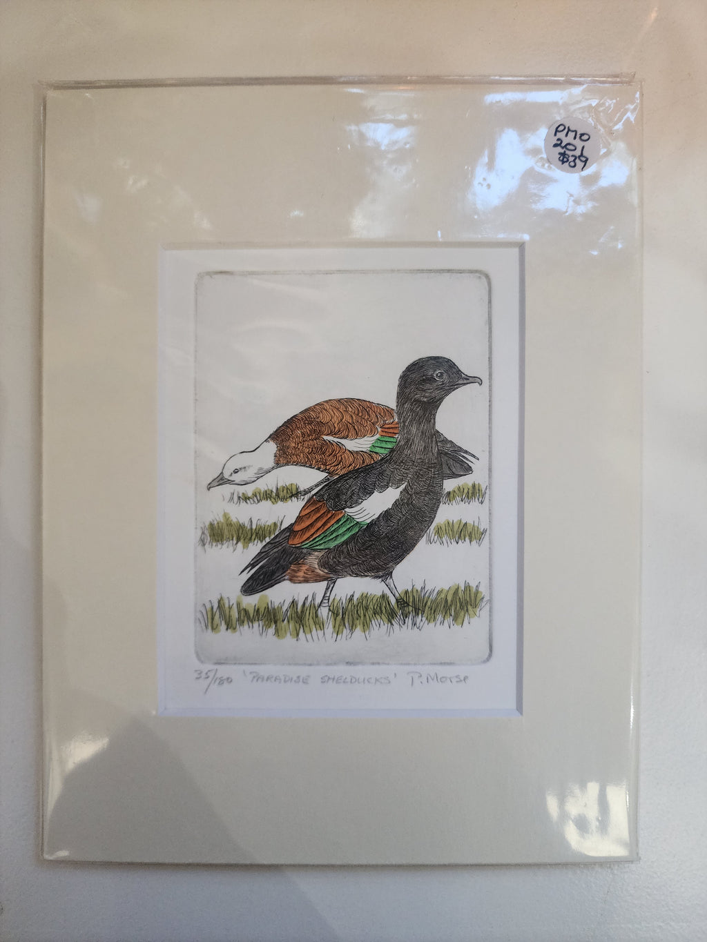 Limited Edition Etching Prints - Birds