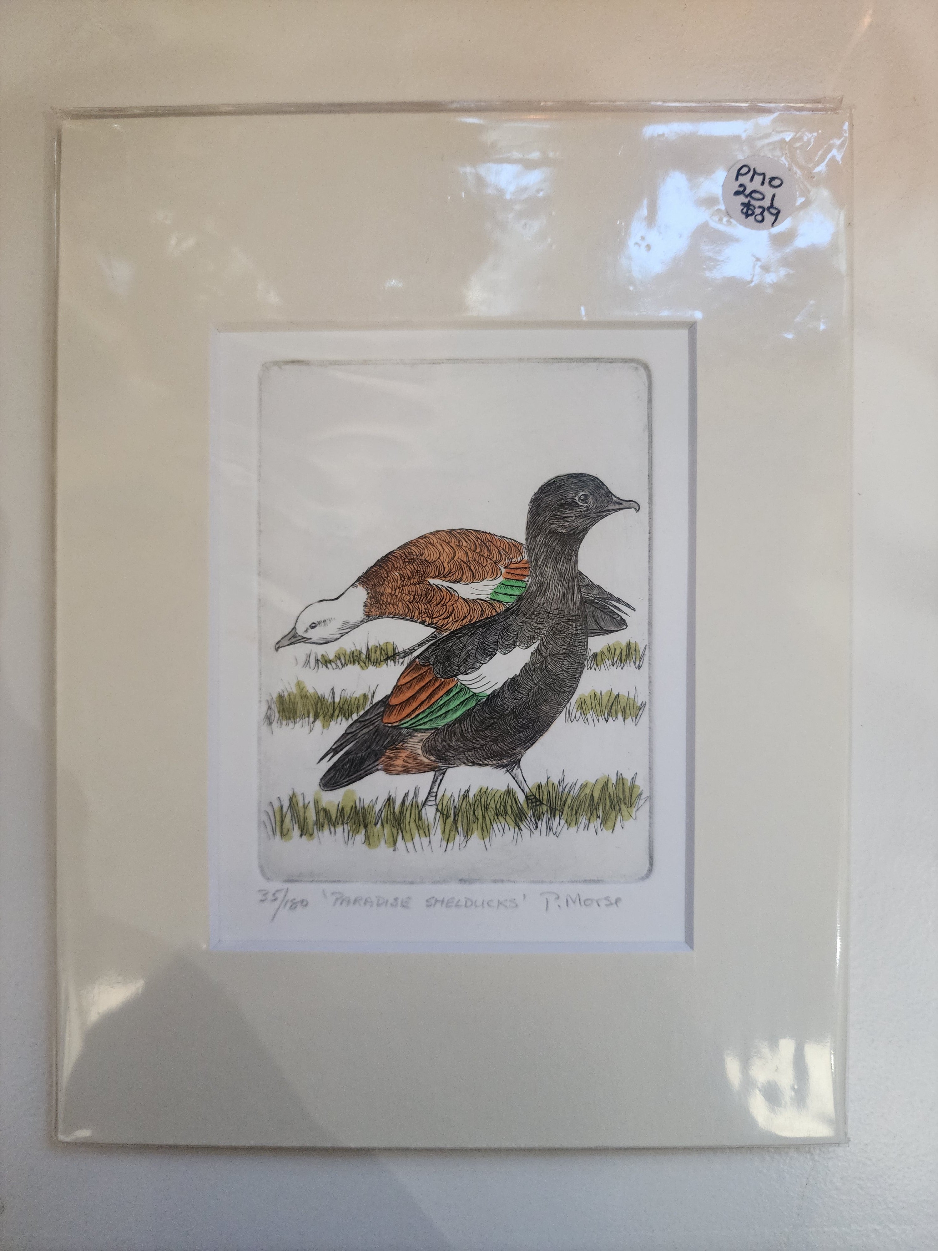 Limited Edition Etching Prints - Birds