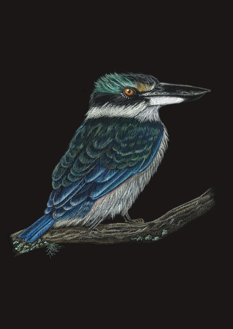 Patience - Print