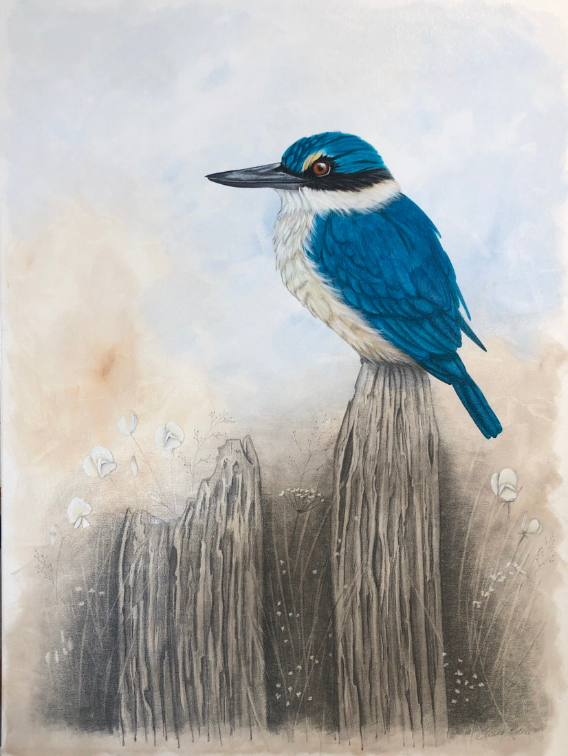 Perched Kingfisher - Original Painting
