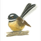 Piwakawaka on Log - Print