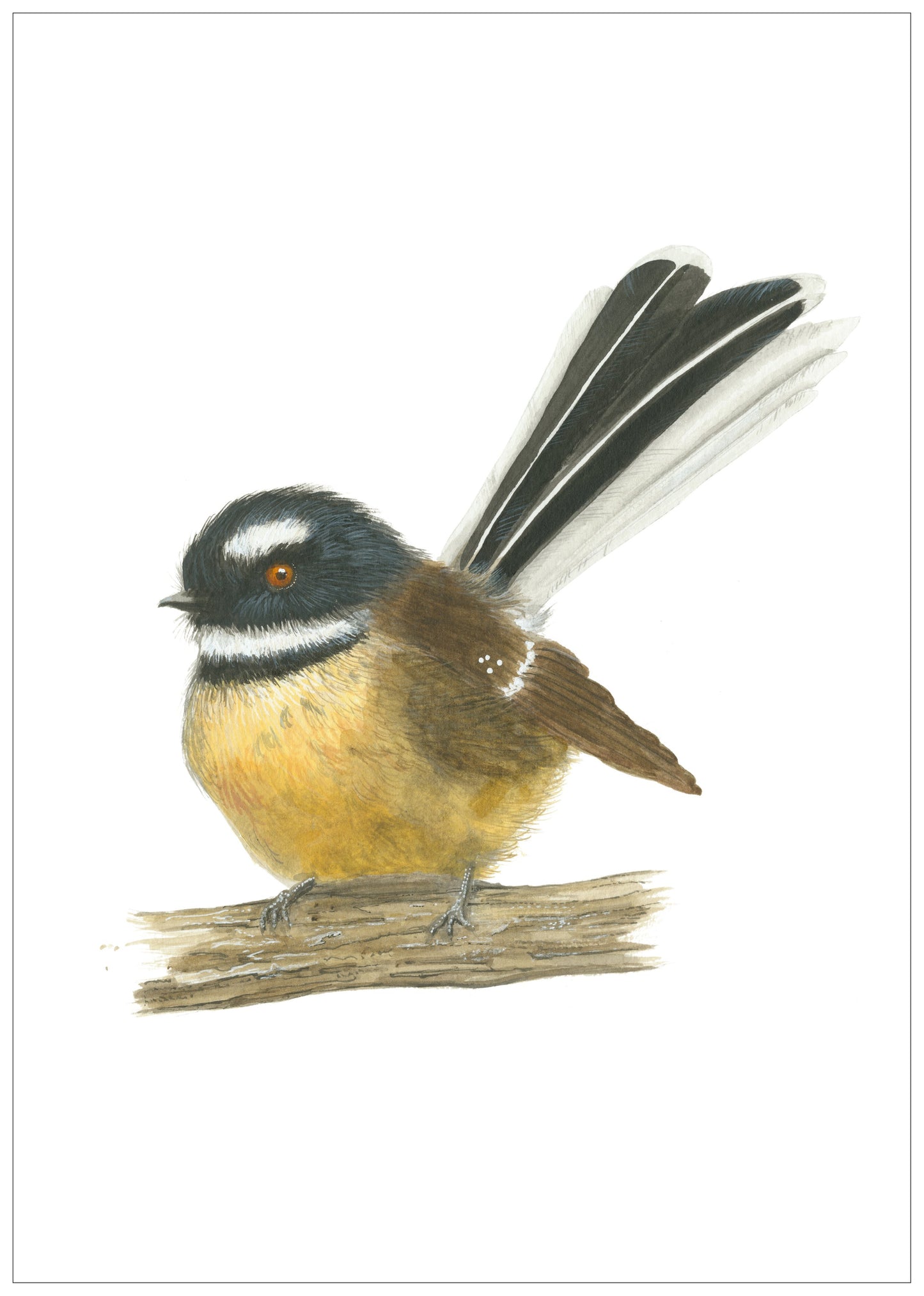 Piwakawaka on Log - Print