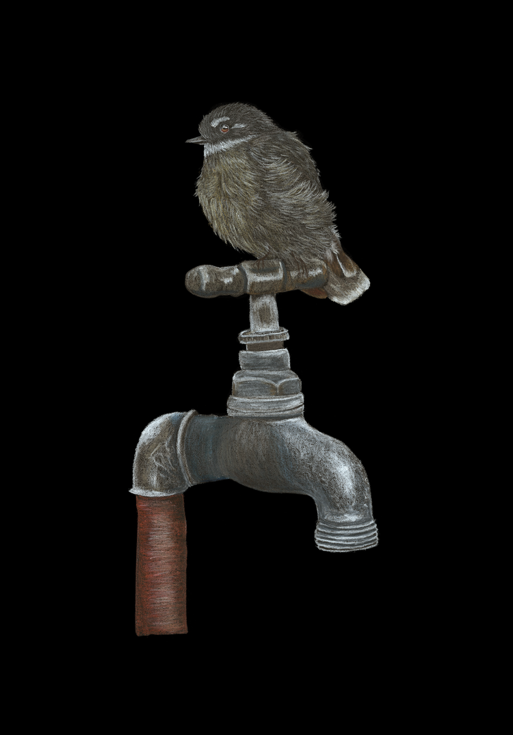 Piwakawaka on Tap - Limited Edition Print