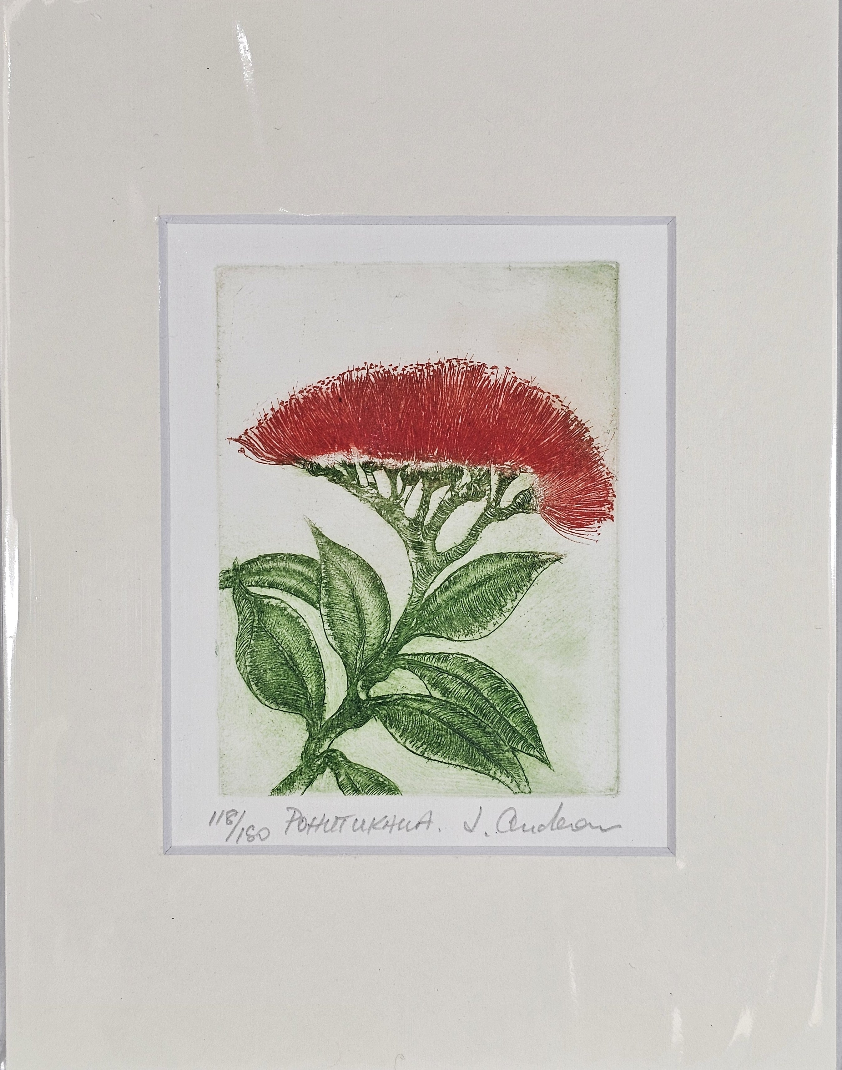 Limited Edition Etching Prints - Flora
