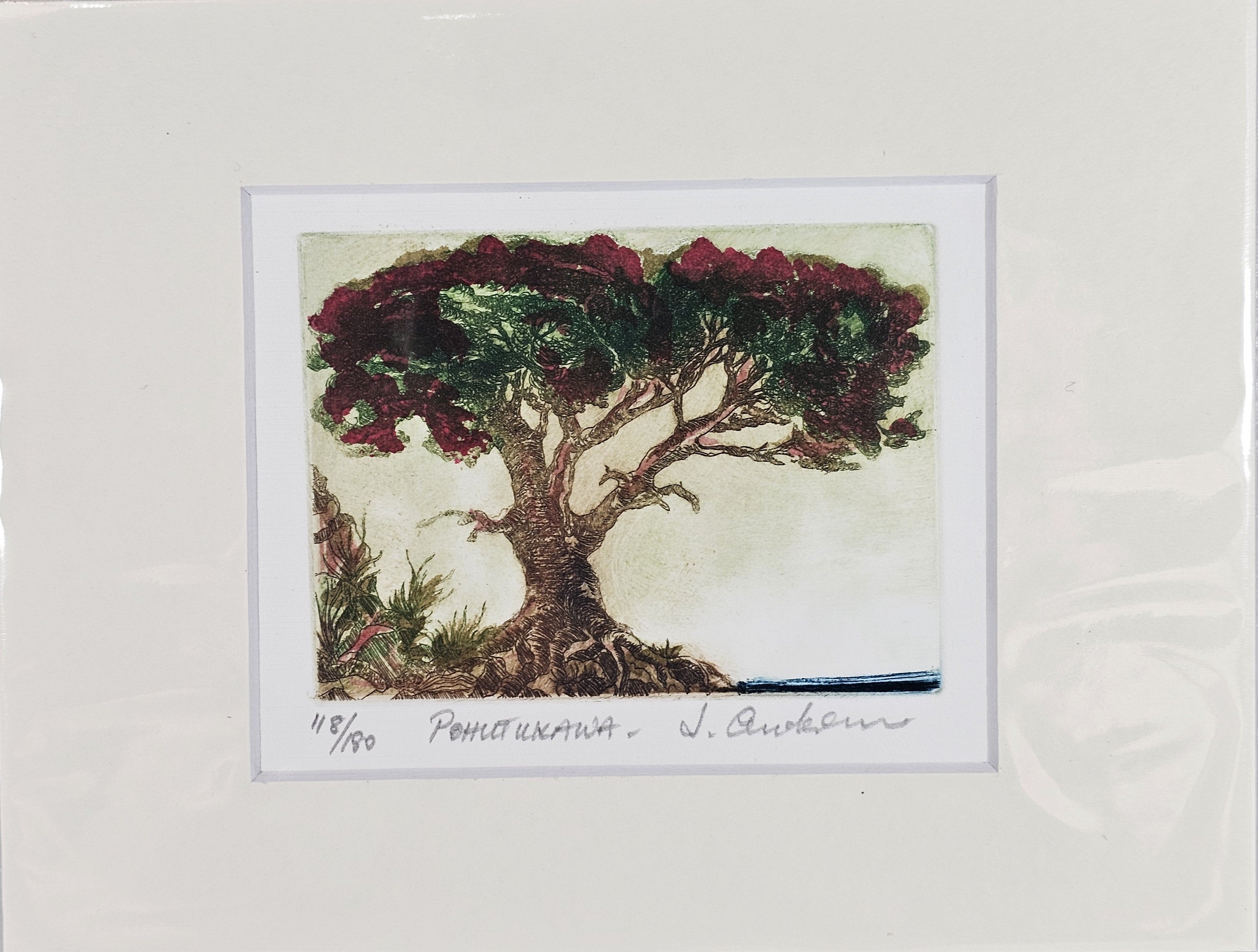 Limited Edition Etching Prints - Flora