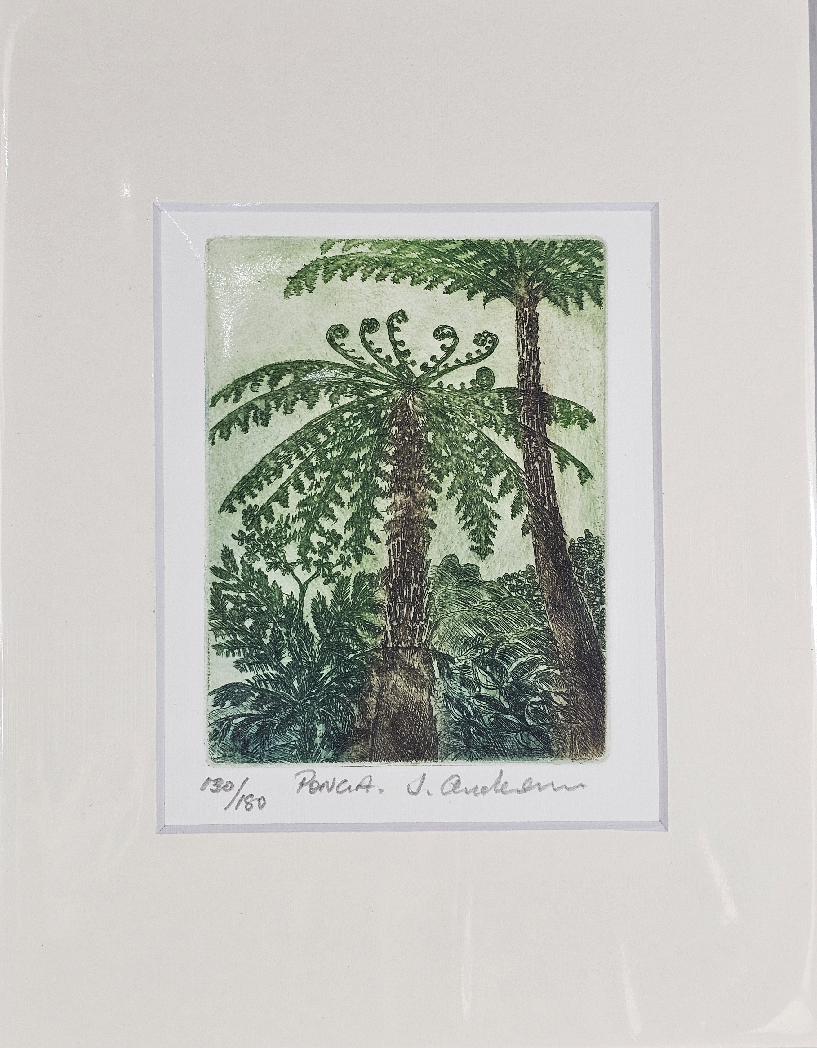 Limited Edition Etching Prints - Flora