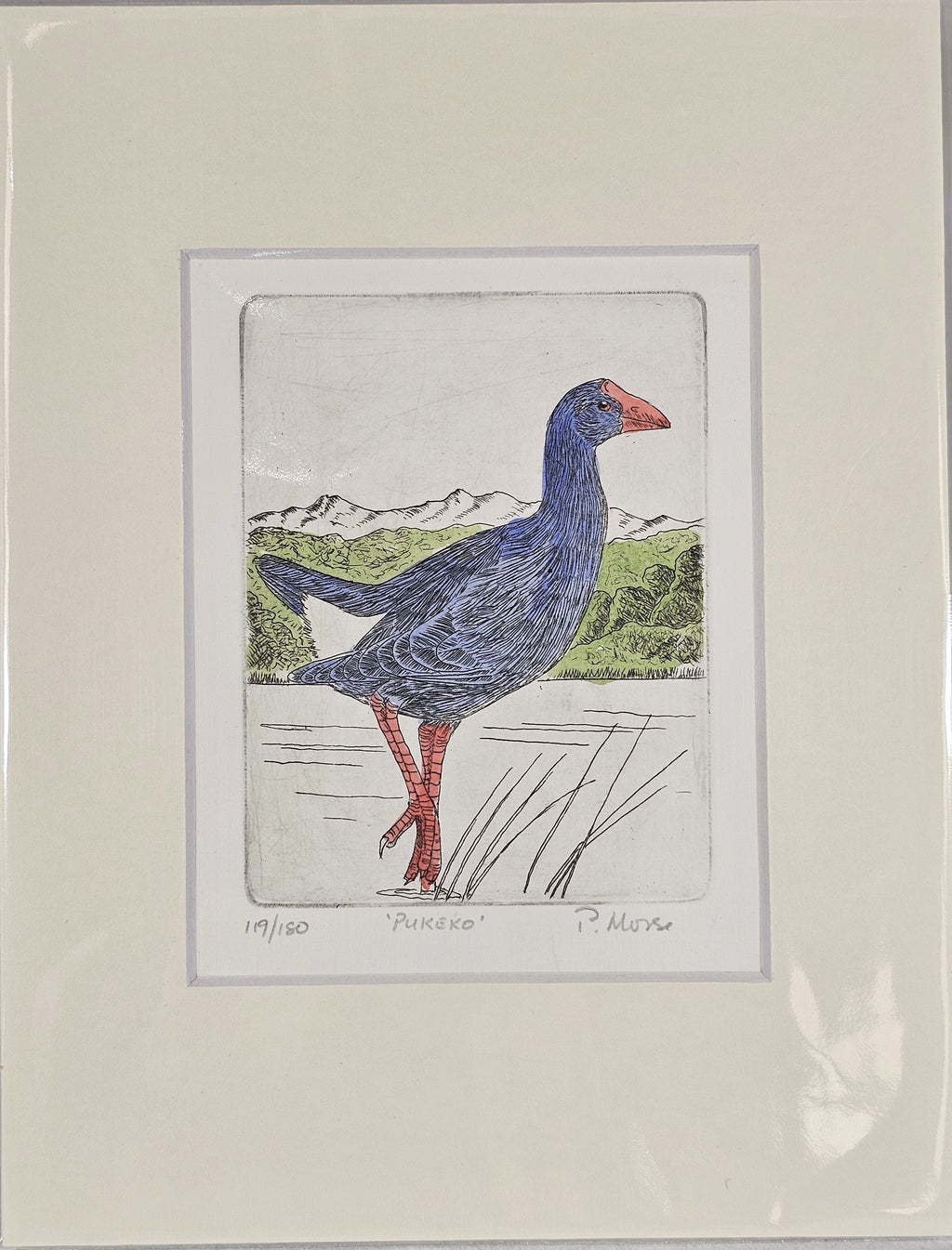 Limited Edition Etching Prints - Birds