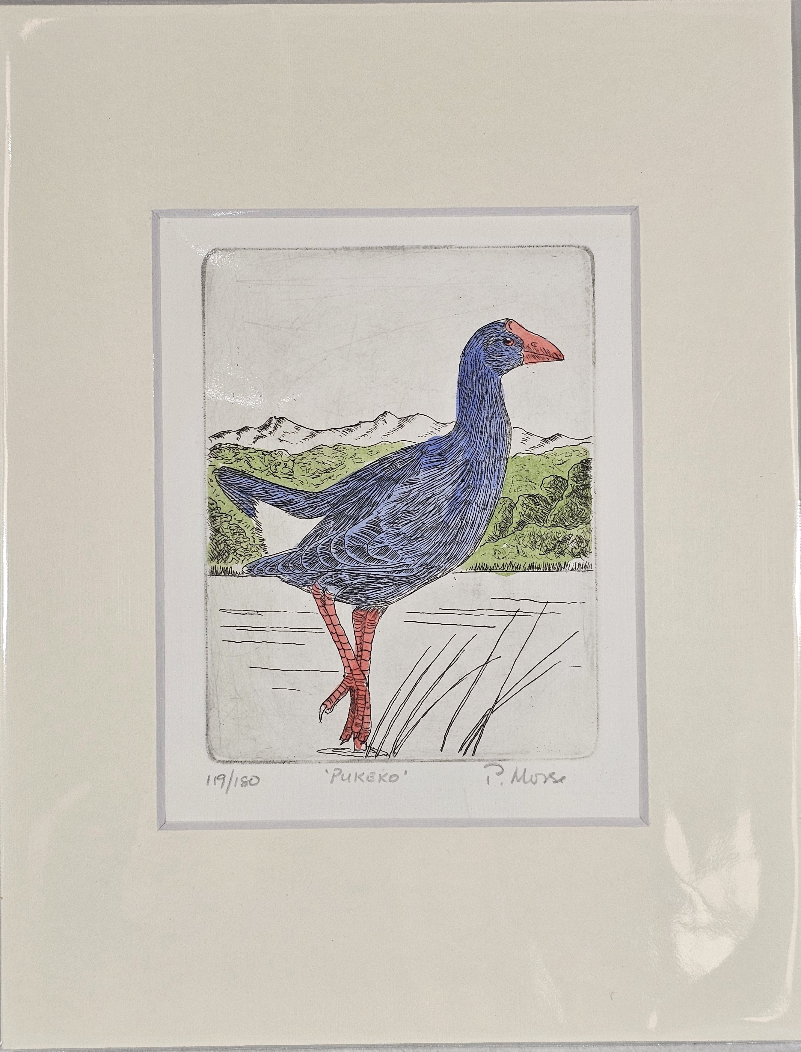Limited Edition Etching Prints - Birds
